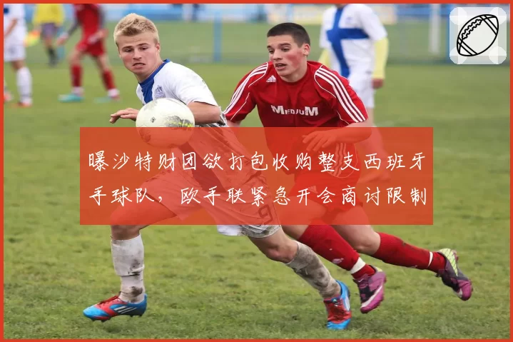曝沙特财团欲打包收购整支西班牙手球队,欧手联紧急开会商讨限制