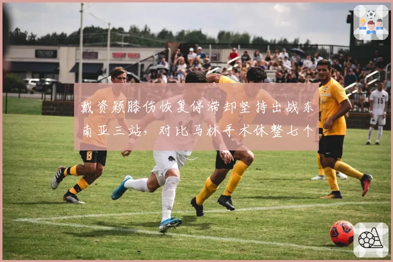 戴资颖膝伤恢复停滞却坚持出战东南亚三站，对比马林手术休整七个月复出即夺冠决策风格迥异