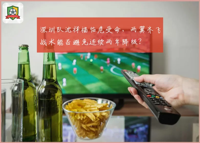 深圳队沈祥福临危受命,两翼齐飞战术能否避免连续两年降级?